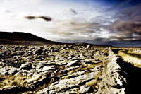 The Burren, Co. Clare