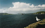 shoreline in Ireland