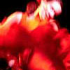 flamenco sevilla spain