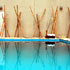 Hotel Dazzler Suites Arroyo photo 2