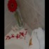Hotel Impala photo 7
