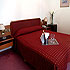 Hotel Sheltown photo 3