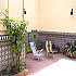 El Patio Hostel photo 3