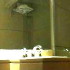 Hotel Promenade photo 5