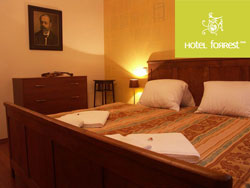 book Hotel ForRest