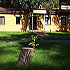 Hotel ForRest photo 10