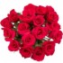 Romantic Valentine's Package (Junior Suite)