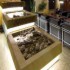 Hotel Step photo 12