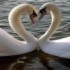Art Noveau Romance