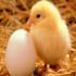 Happy Easter