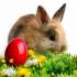 Easter Delight