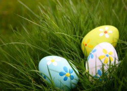 Easter Special Offer (Double Room for 2 people)