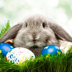 ARCOTEL EASTER SPECIAL desde €129. Reservar