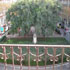 Apartment Gracia 1 photo 8