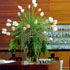 Hotel Eurostars Grand Marina Gran Lujo photo 9