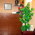book Hostal Satram