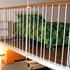 Apartment Ramblas Design Studio photo 4