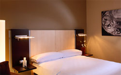 book Hotel Confortel Auditori
