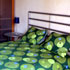 Apartment City Center photo 5