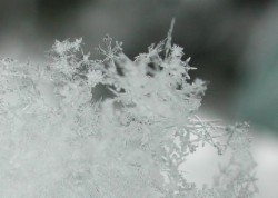 Especial INVIERNO