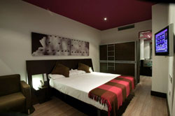 book Hotel Petit Palace Marques Santa Ana