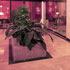 book Hotel Catalonia Salamanca Plaza