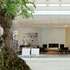 Hotel H10 Andalucia Plaza photo 8