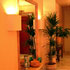 Hotel Lima Marbella photo 3