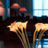 Hotel Sevilla Center photo 7