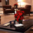 Hotel Andalucia Center photo 1