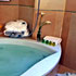 Hotel Badajoz Center photo 5