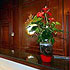 Hotel Arcea Gran Hotel Pelayo photo 2