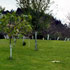 Arcea Hotel La Arquera photo 12