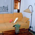 Apartamento Menta photo 3