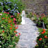 Cortijo Fuente Arriba photo 5