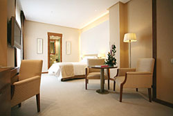 book Hotel Sorolla Palace