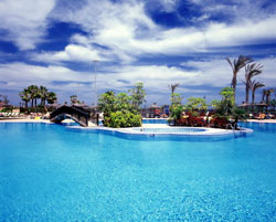book Elba Carlota Beach & Golf & Convention Hotel Fuerteventura