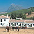 book Ronda Hotel El Horcajo