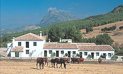 book Ronda Hotel El Horcajo