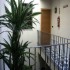 book Apartamento Lumbreras V
