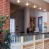 Hotel Tocina Business photo 3