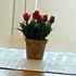 Apartamentos Dana photo 3