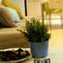 Apartamento Alba photo 2