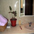 Apartamento La Paloma photo 6