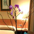 Hotel Victoria 4 Madrid