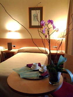 book Hotel Victoria 4