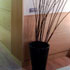 Hotel Victoria 4 photo 3