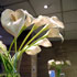 Aparthotel Arturo Soria Suites photo 8