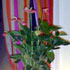Apartamento Divino photo 5