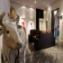 Hotel Petit Palace Art Gallery  photo 5